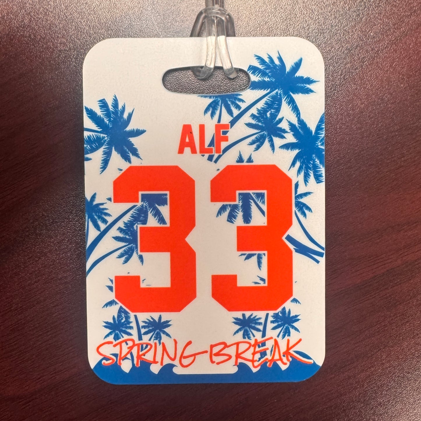 '26 Spring Break Mega Draft - Custom Bag Tag